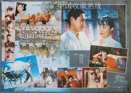 神奈川大学Diploma in Public Administration